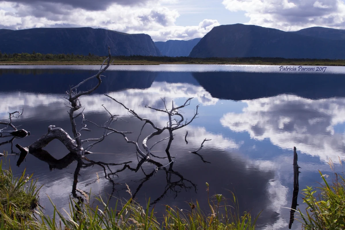 26Westernbrook+Pond+trail(30x40)